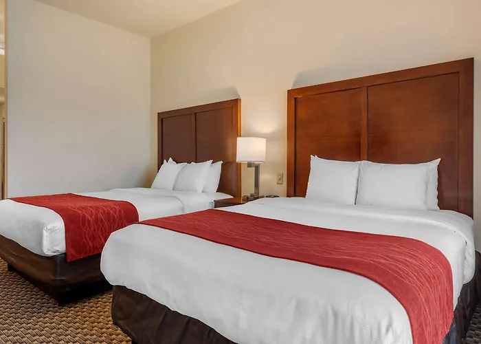 Comfort Inn & Suites Airport