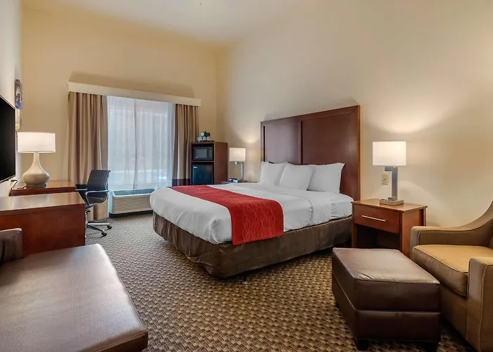 Comfort Inn & Suites Airport
